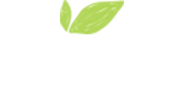 A WordPress Site